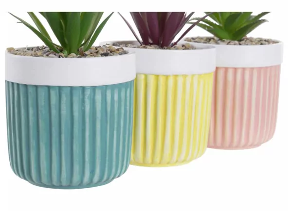 Macetero de gres con planta LAX Macetero de gres con planta LAX