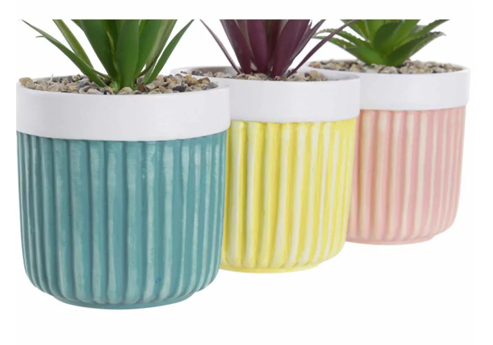 Planta Gres LAXO Planta Gres LAXO
