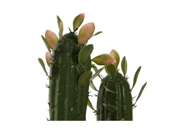 Cactus artificial LURA Cactus artificial LURA