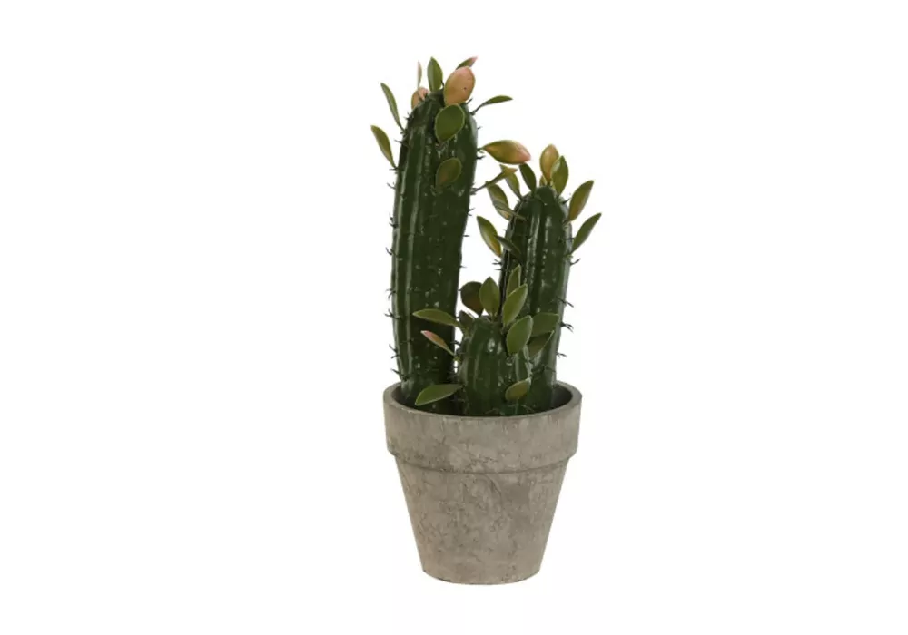 Planta Foam LURA Planta Foam LURA