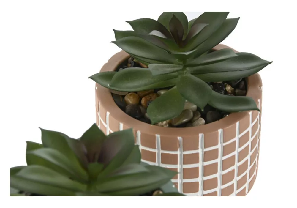 Planta Foam LURA Planta Foam LURA