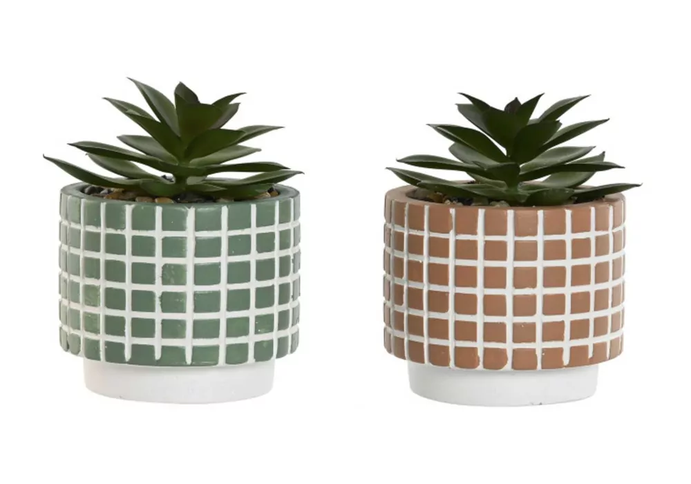Planta Foam LURA