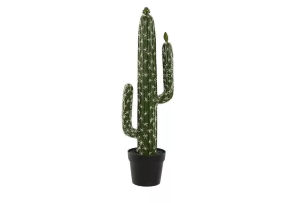Cactus artificial KLON