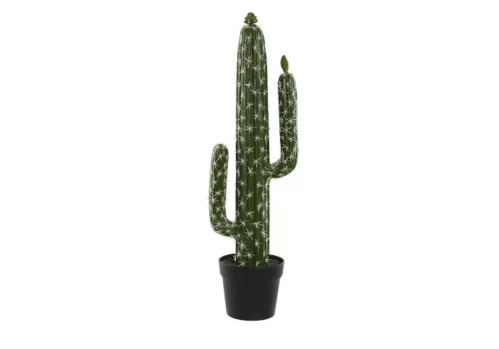 Planta Foam KLON Planta Foam KLON