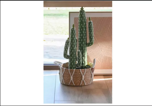 Cactus artificial KLON