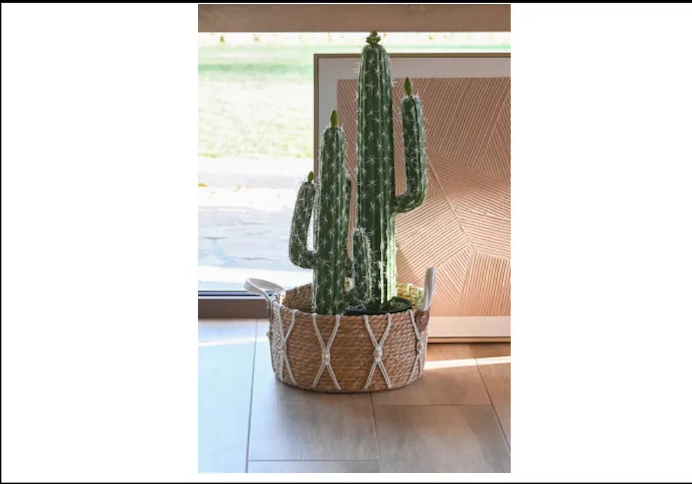 Planta Foam KLON Planta Foam KLON