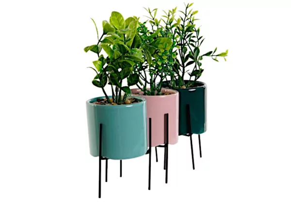 Macetero de colores con planta KORO Macetero de colores con planta KORO