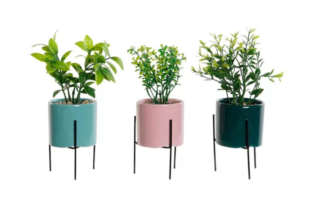 Planta Gres KORO Planta Gres KORO
