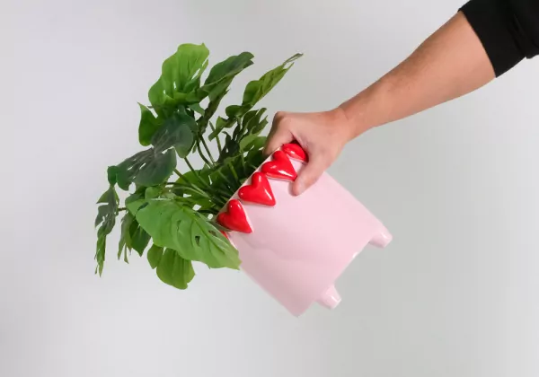 Coração de coração Macetero Coração de coração Macetero