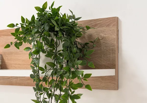 Composição de salão nórdico KALM