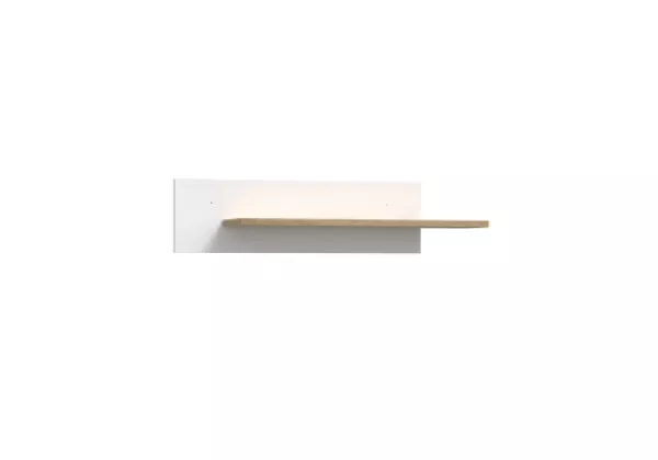 Livraria de Lounge de Scandia