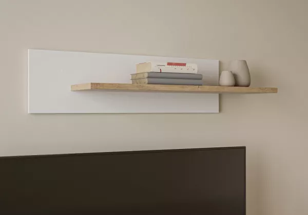 Livraria de Lounge de Scandia