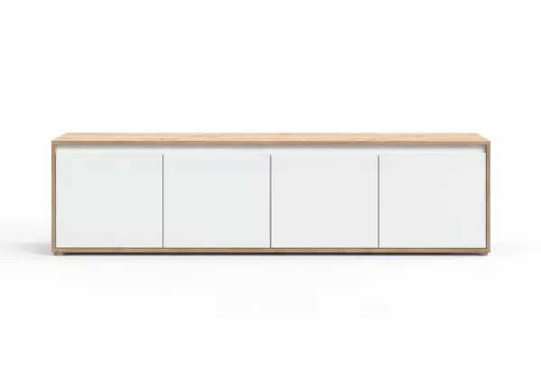 Furniture TV Scandia