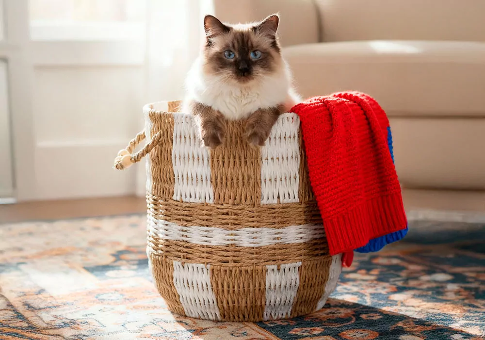 Cesta de fibra ORGANIC