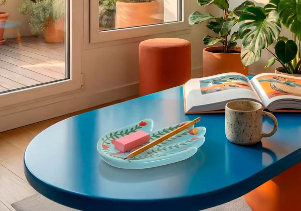 cópia da bandeja de vácio cerâmica de aves