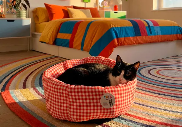 Cama para gatos MAMBO - negra/decorada