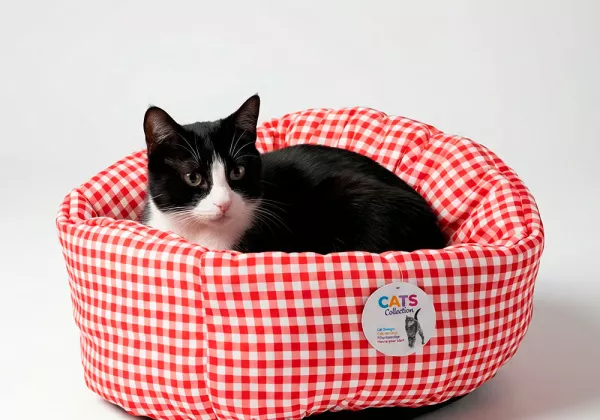 Cama para gatos MAMBO - rojo/animal