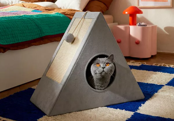 Casa plegable para gatos ZING - gris/decorada