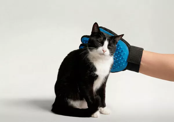 Luva removedora de pelos de animais CLICK