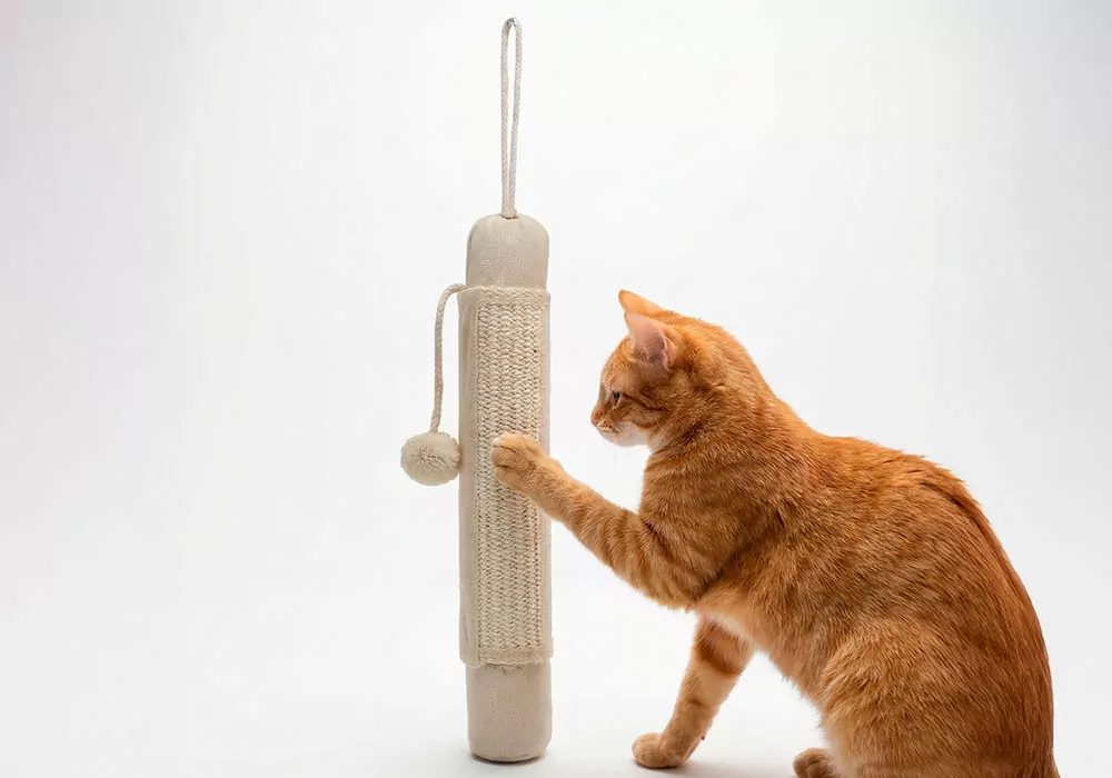 Arranhador para gatos NEO