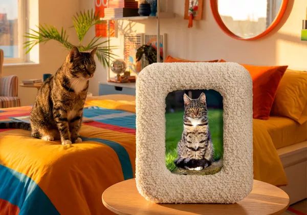 Moldura para fotos de 10 x 15 cm ZAS