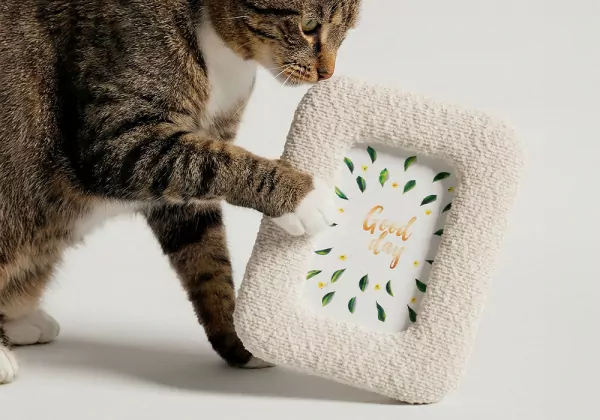 Moldura para fotos de 10 x 15 cm ZAS