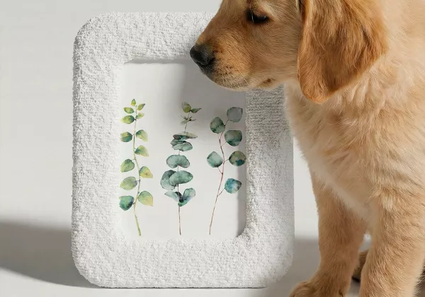 Moldura para fotos de 13 x 18 cm PUM Moldura para fotos de 13 x 18 cm PUM