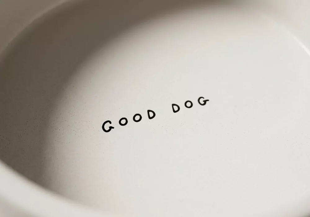 Bol cerámica para mascotas GURI