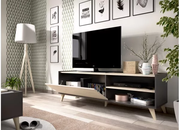 MUEBLE PARA TV RIBEL MUEBLE PARA TV RIBEL