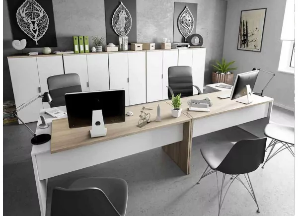 ESTANTERIA CON PUERTAS POLTER ESTANTERIA CON PUERTAS POLTER