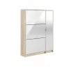 ZAPATERO 3 PUERTAS + MACK VERTICAL ZAPATERO 3 PUERTAS + MACK VERTICAL